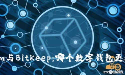 Tokenim与BitKeep：哪个数字钱包更适合你？