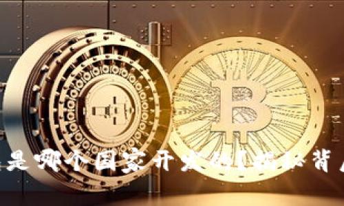 **Tokenim钱包是哪个国家开发的？揭秘背后的团队与技术