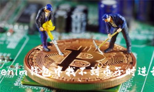 如何在Tokenim钱包中找不到币子时进行故障排除