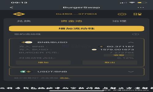 比特币钱包地址中的空格问题与解决方案解析