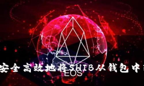 如何安全高效地将SHIB从钱包中转出？