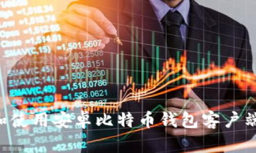 如何下载和使用安卓比特币钱包客户端：全面指南