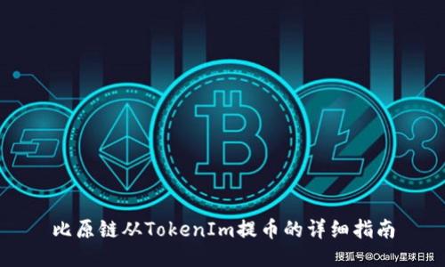 比原链从TokenIm提币的详细指南