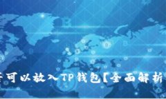 瑞波币是否可以放入TP钱包？全面解析及使用指南