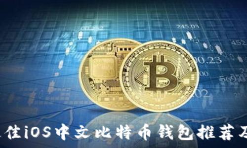   
2023年最佳iOS中文比特币钱包推荐及使用指南