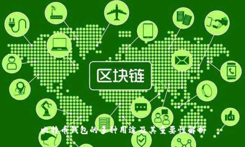 比特币钱包的多种用途及其重要性解析