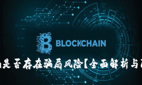 Tokenim是否存在骗局风险？全面解析与防范指南