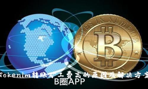 Tokenim转账矿工费高的原因及解决方案