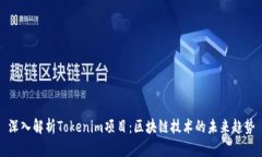 深入解析Tokenim项目：区块链技术的未来趋势
