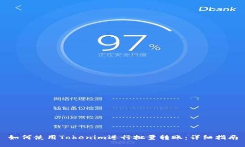如何使用Tokenim进行批量转账：详细指南