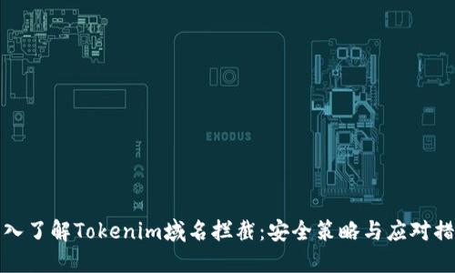 深入了解Tokenim域名拦截：安全策略与应对措施