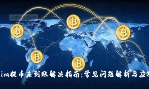 Tokenim提币未到账解决指南：常见问题解析与应对策略