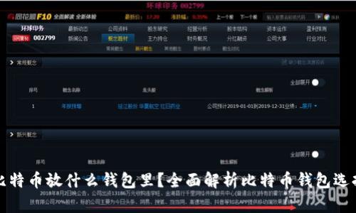 比特币放什么钱包里？全面解析比特币钱包选择