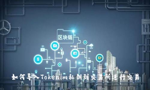 如何导入Tokenim私钥到交易所进行交易