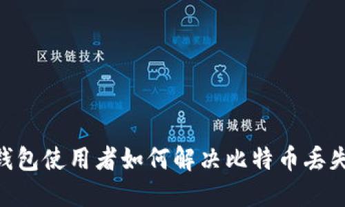 Olink钱包使用者如何解决比特币丢失问题？