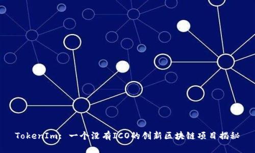 TokenIm: 一个没有ICO的创新区块链项目揭秘