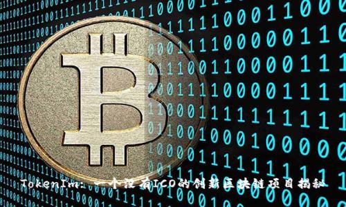 TokenIm: 一个没有ICO的创新区块链项目揭秘