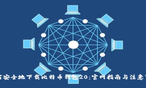 如何安全地下载比特币钱包20：官网指南与注意事项