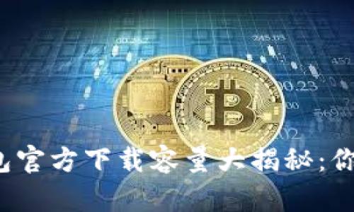 比特币钱包官方下载容量大揭秘:你需要知道的