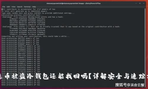 泰达币被盗冷钱包还能找回吗？详解安全与追踪方法