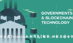 什么是Tokenim私钥钱包？解析、功能与安全性