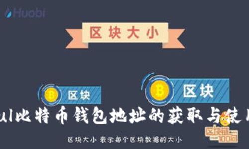 Paxful比特币钱包地址的获取与使用指南