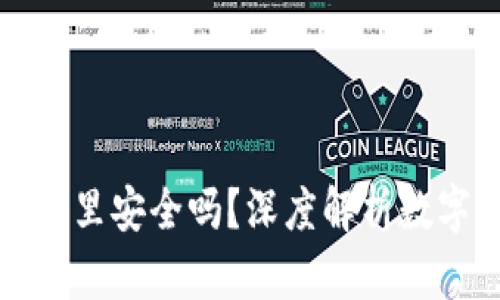 比特币放到钱包里安全吗？深度解析数字资产的安全性