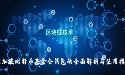 新加坡比特币基金会钱包的全面解析与使用指南