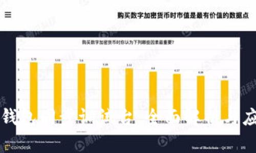 比特币钱包同步调试台：全面解析与应用指南