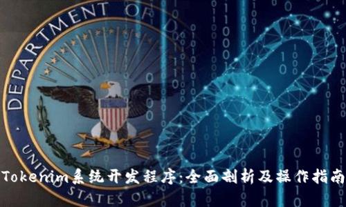 Tokenim系统开发程序：全面剖析及操作指南