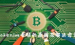 Tokenim卡顿的原因及解决方法