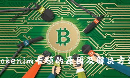 Tokenim卡顿的原因及解决方法