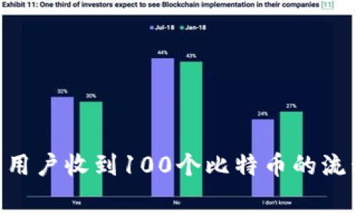 Tokenim平台用户收到100个比特币的流程与注意事项