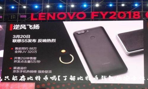 比特币钱包只能存比特币吗？了解比特币钱包的安全性与多功能性
