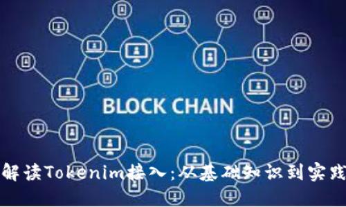 全面解读Tokenim接入：从基础知识到实践指南
