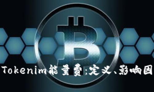 全面解析Tokenim能量费：定义、影响因素与策略