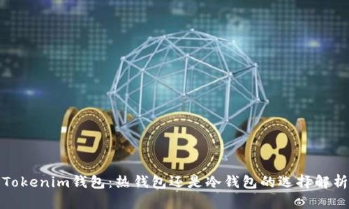 Tokenim钱包：热钱包还是冷钱包的选择解析