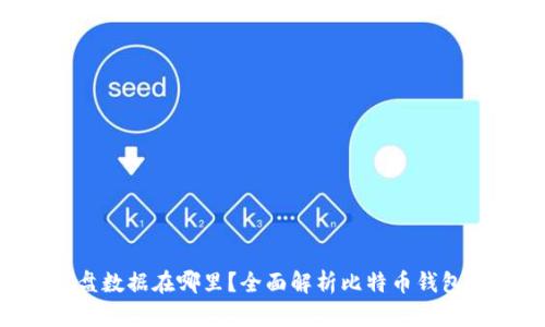 比特币钱包C盘数据在哪里？全面解析比特币钱包数据存储位置