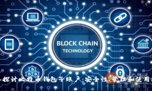 深入探讨比特币钱包子账户：安全性、管理和使用攻略