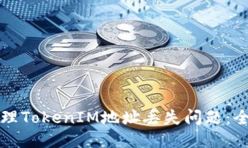 如何处理TokenIM地址丢失问题：全面指南