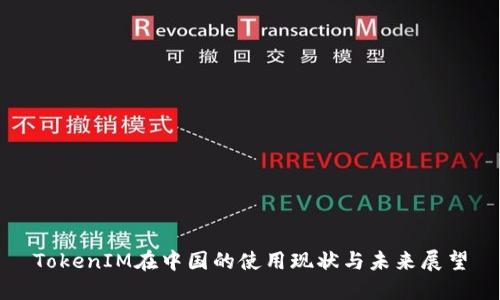 TokenIM在中国的使用现状与未来展望