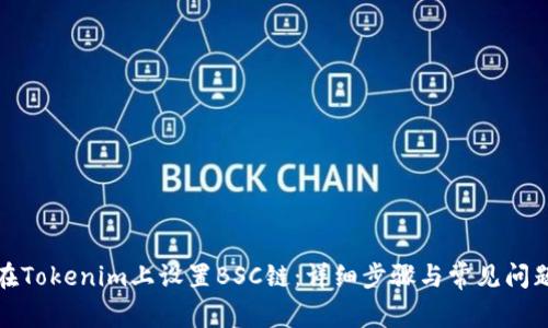 如何在Tokenim上设置BSC链：详细步骤与常见问题解答