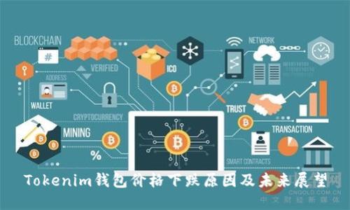 Tokenim钱包价格下跌原因及未来展望