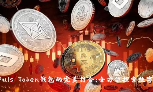 央视3直播与Puls Token钱包的完美结合：全方位探索数字娱乐的新前沿