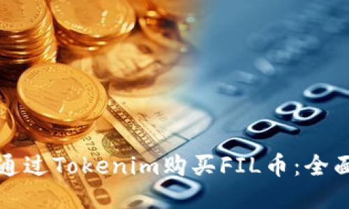 如何通过Tokenim购买FIL币：全面指南