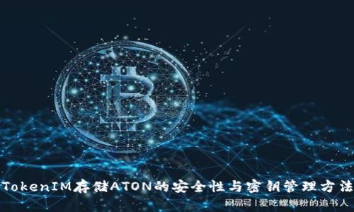 TokenIM存储ATON的安全性与密钥管理方法