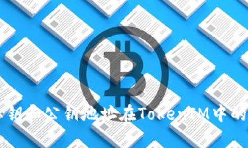 深入了解私钥和公钥地址在TokenIM中的角色与应用