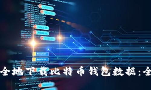 如何安全地下载比特币钱包数据：全面指南