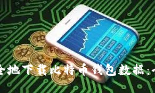 如何安全地下载比特币钱包数据：全面指南