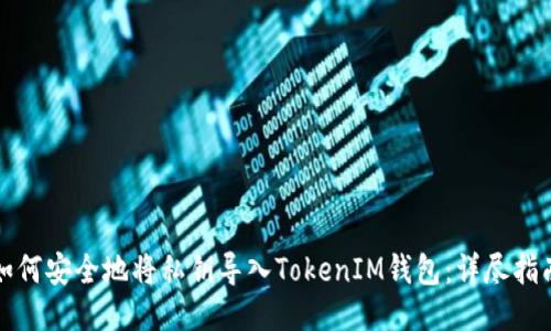 如何安全地将私钥导入TokenIM钱包：详尽指南